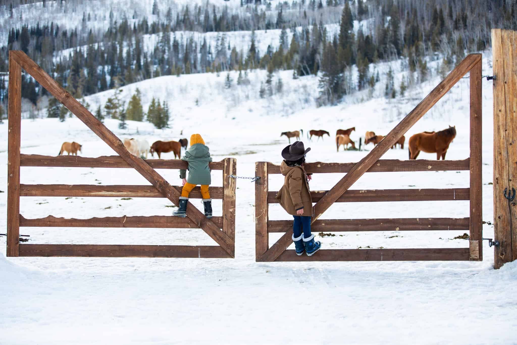 Best Winter Adventure Trips for Families - Vista Verde Colorado