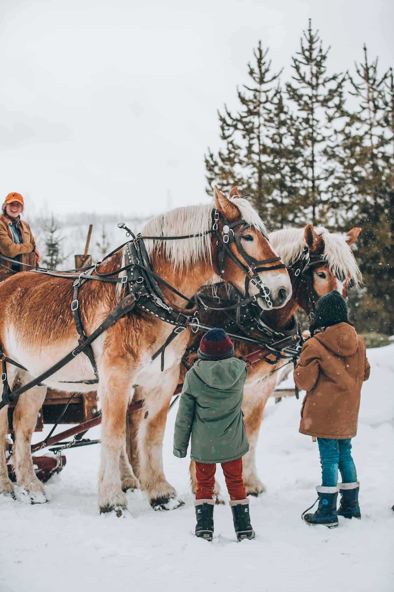 Winter Sleigh Ride and Activities for Kids - Vista Verde, CO