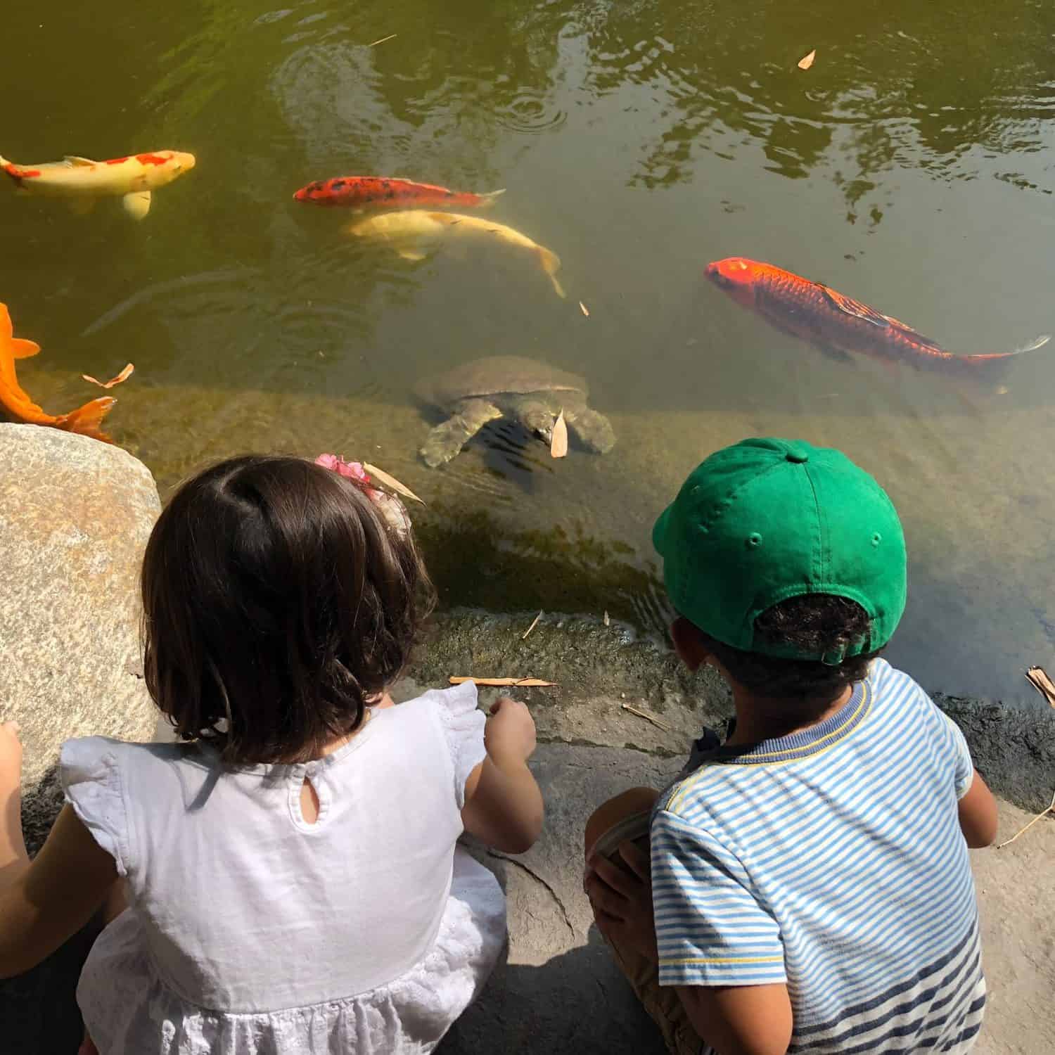 100+ Outdoor Summer Activities for Kids • RUN WILD MY CHILD