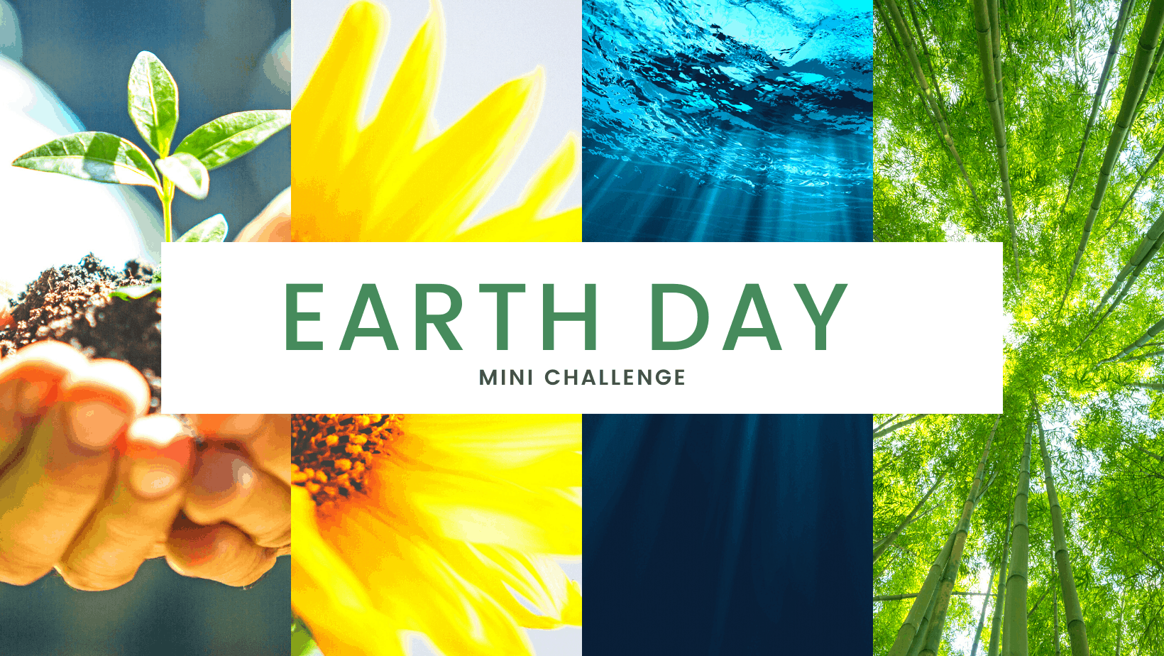 EARTH DAY CHALLENGE