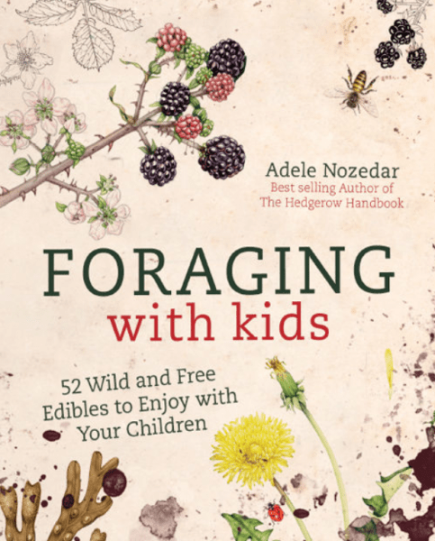 Foraging with Kids - Run Wild My Child Currently Reading