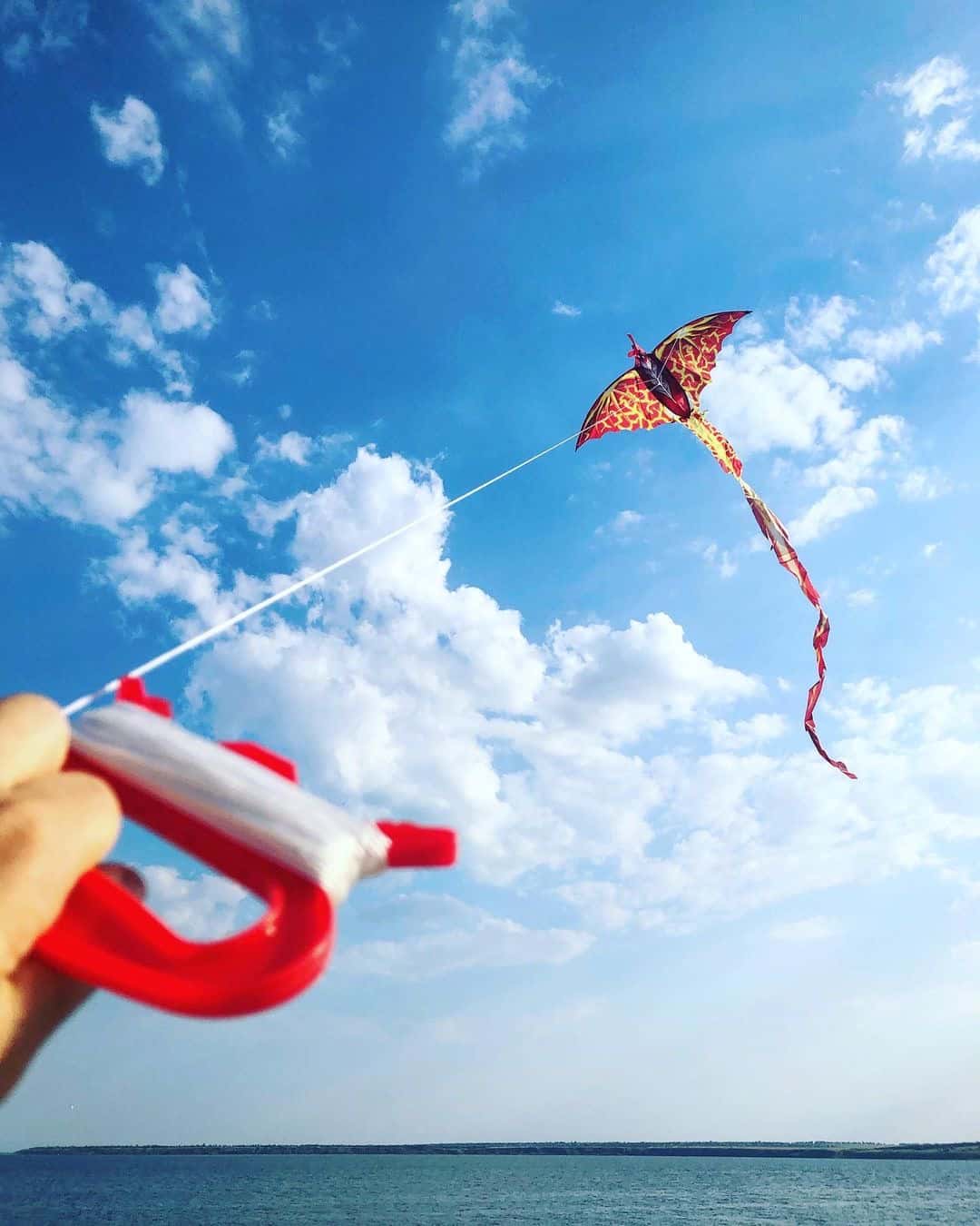 kites flying