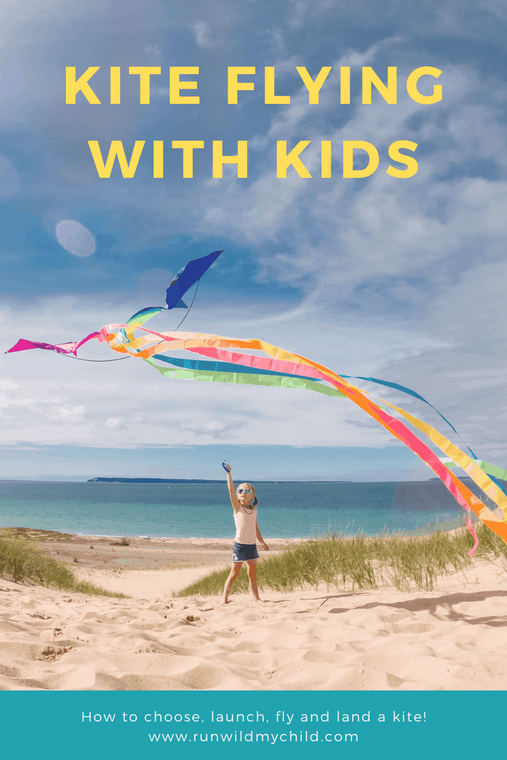 people flying kites on the beach