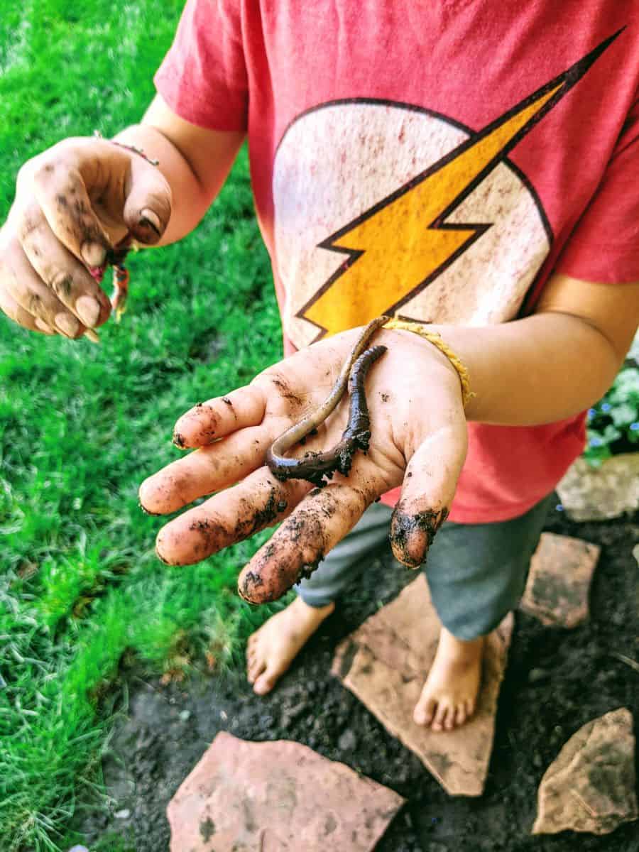Exploring worms with kids safely