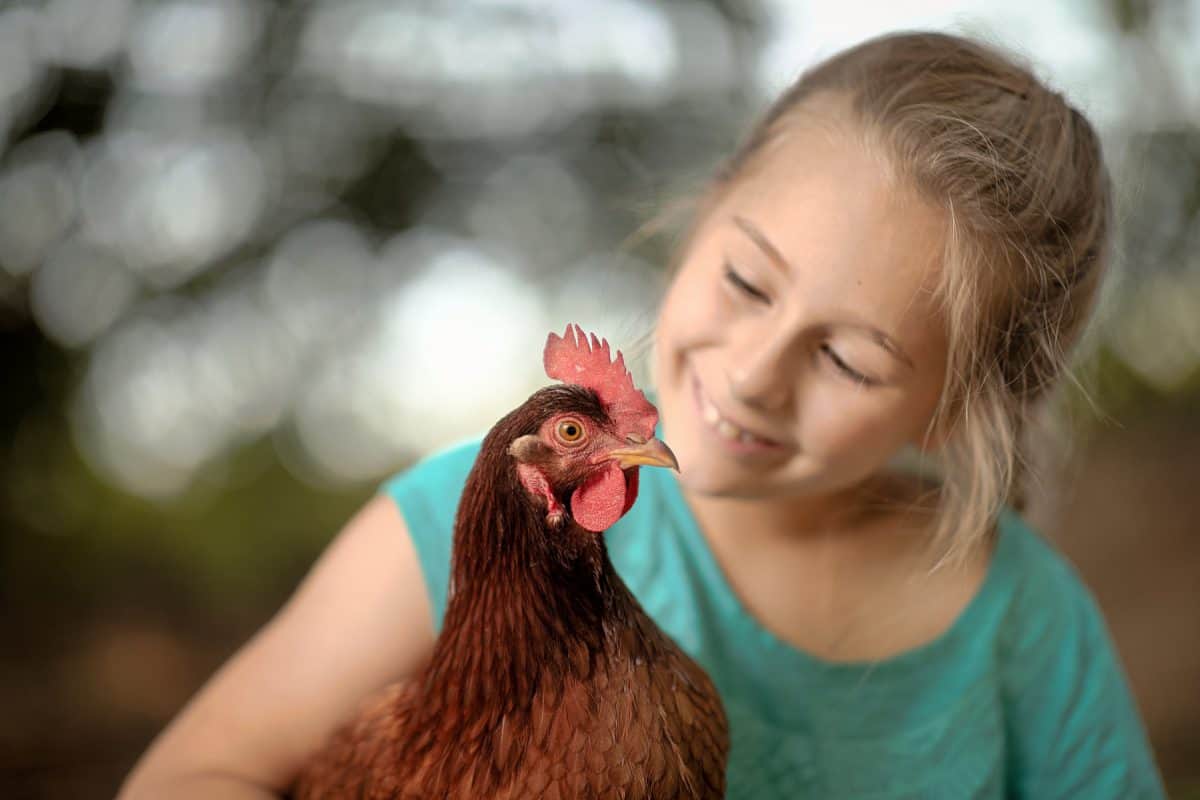 Raising Chickens with Kids • RUN WILD MY CHILD
