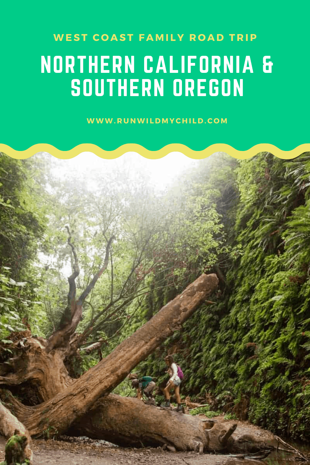 West Coast Road Trip California To Oregon With Kids