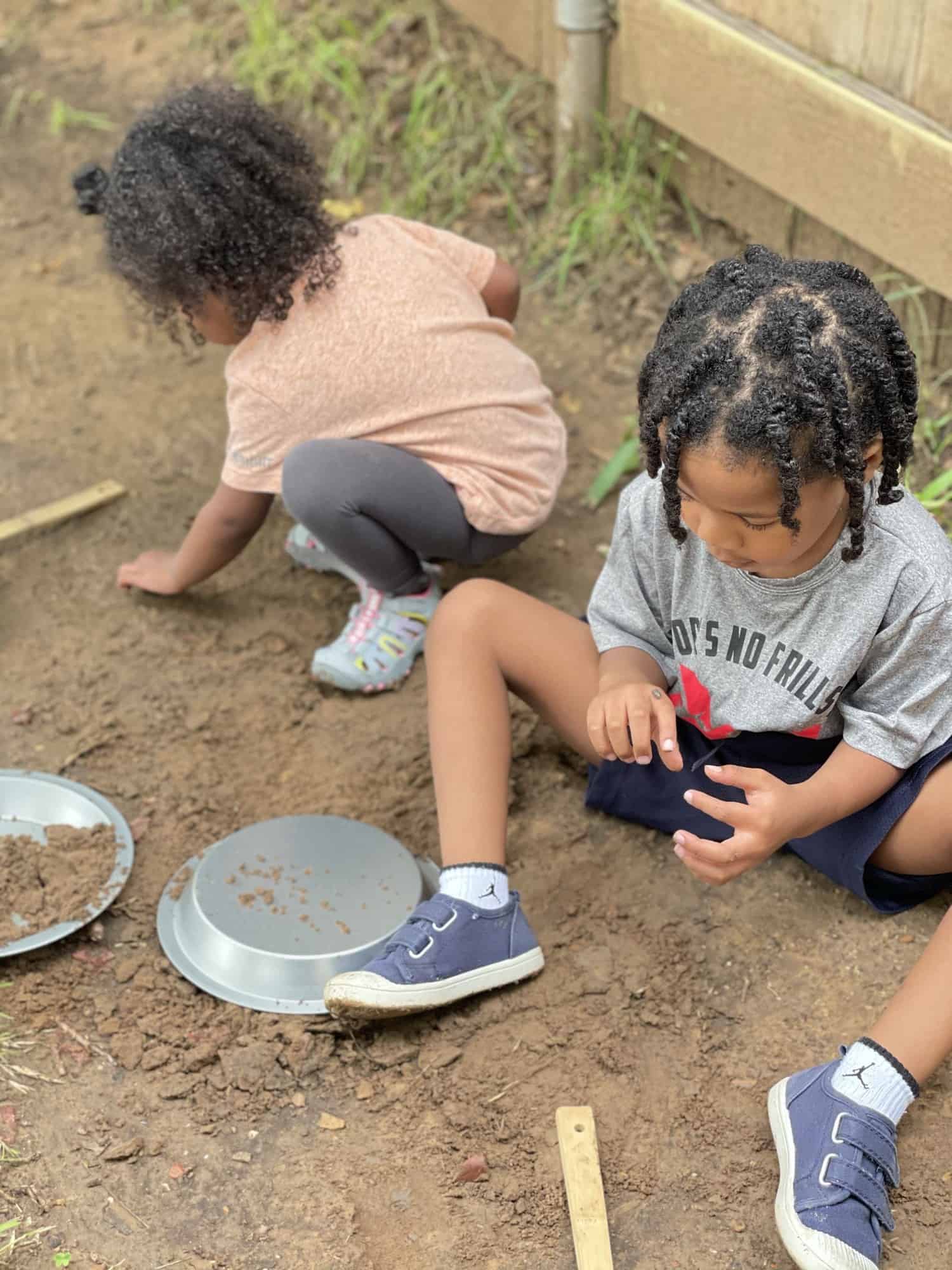 Playing with Bugs - finding nature in your own backyard