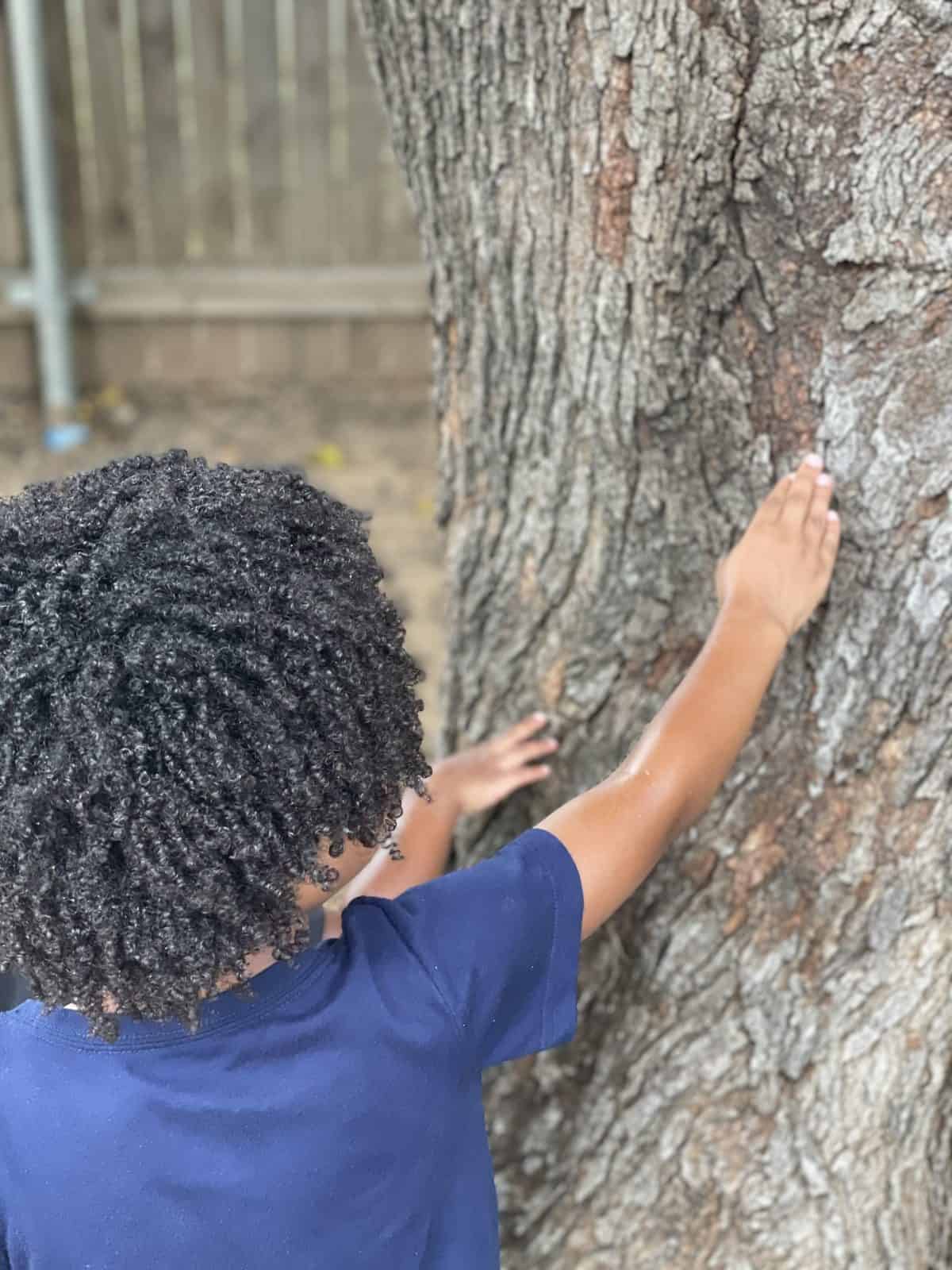 Learning About Trees with Kids