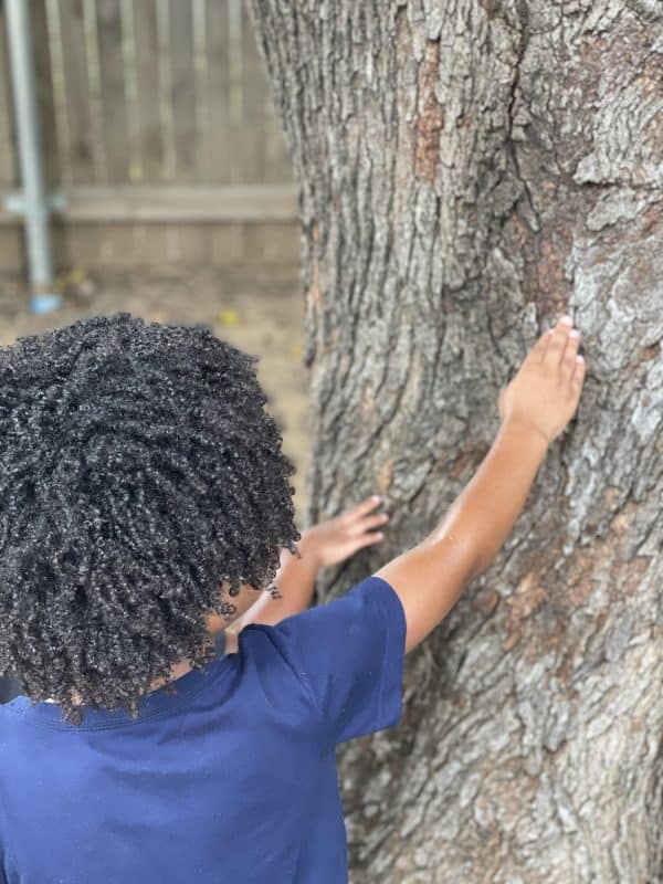 How to Find & Appreciate Nature in Your Own Backyard