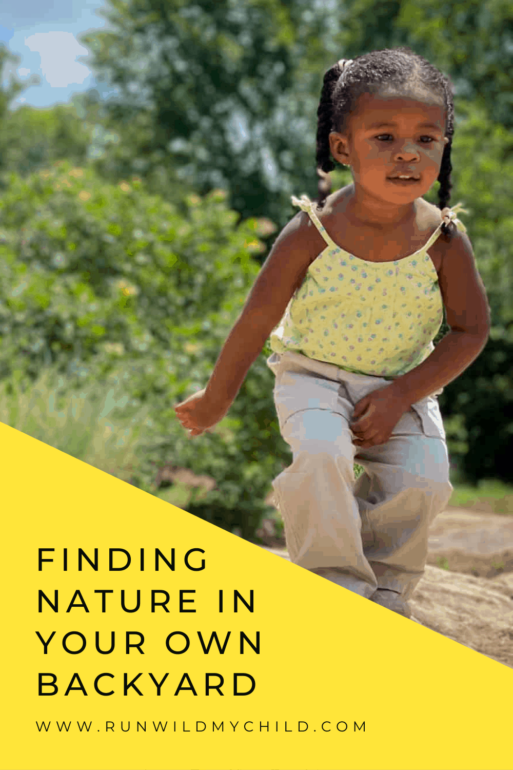 FINDING NATURE IN YOUR OWN BACKYARD