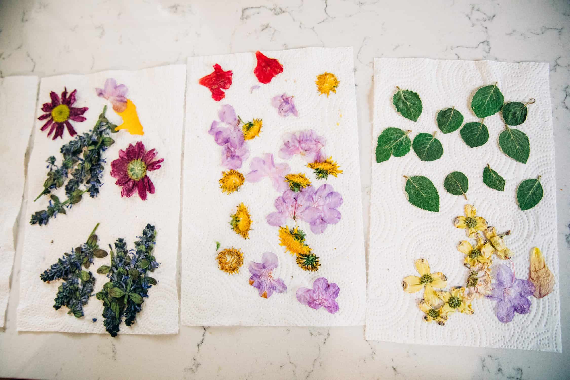 Guest Blog: DIY Butterfly Bouquet