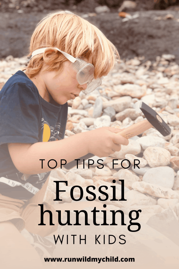 Tips for Fossil Hunting with Kids • RUN WILD MY CHILD