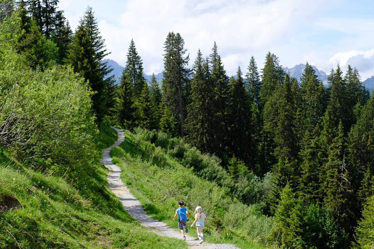 Children running along a hiking trail in the forest in the mountains