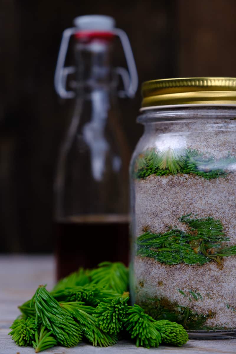 Tree tips and sugar layered in a jar to make syrup