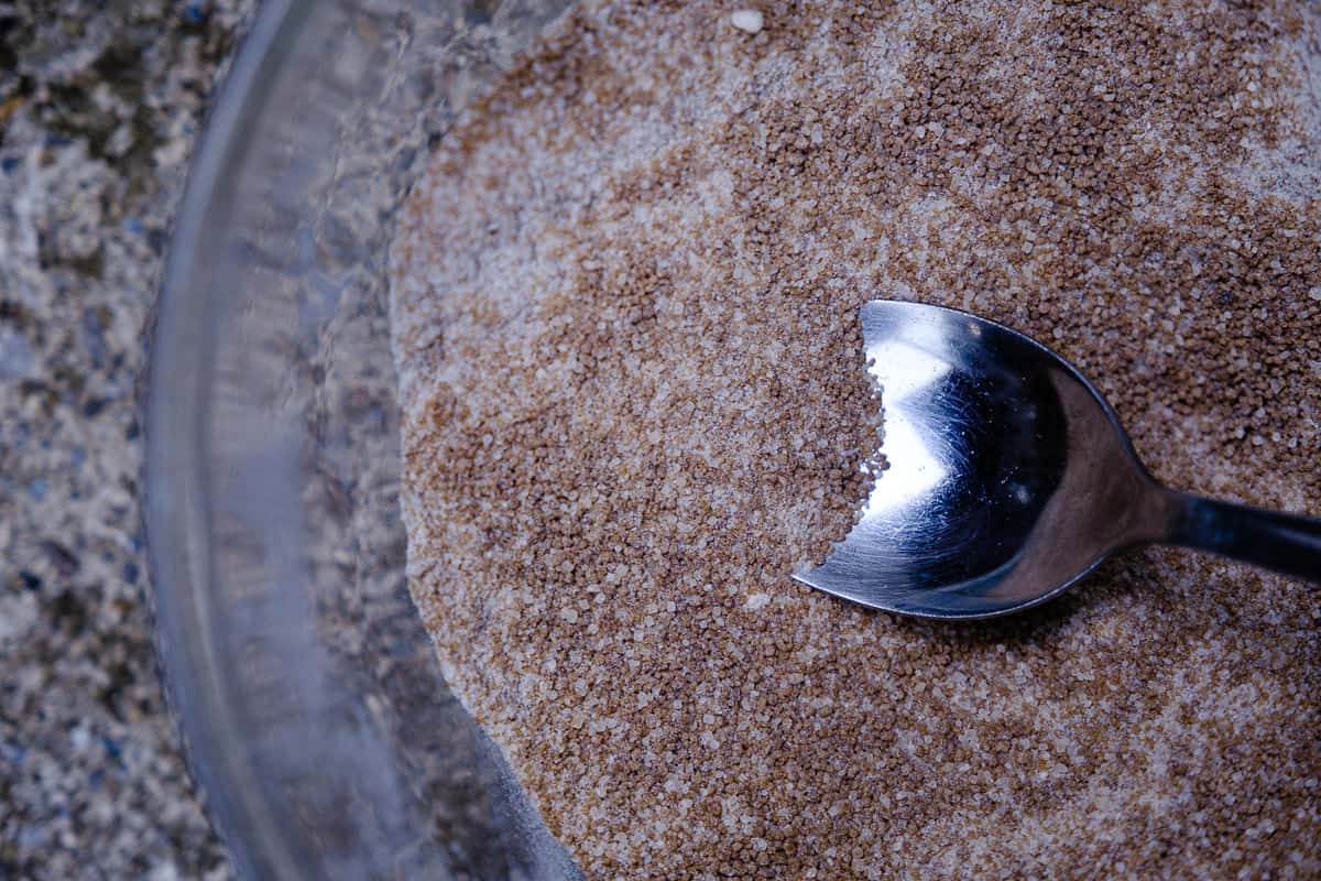 brown sugar for making tree tip syrup