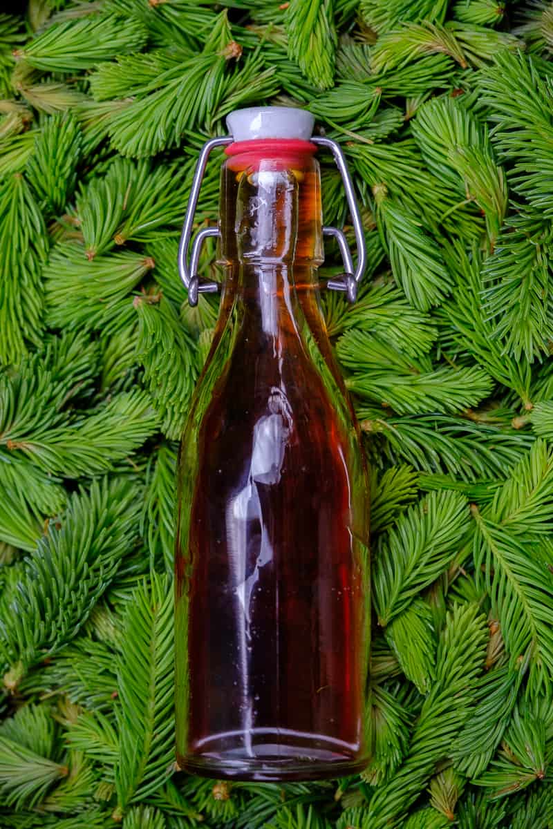A sealed bottle of finished tree tip syrup on a bed of green spruce fir tips