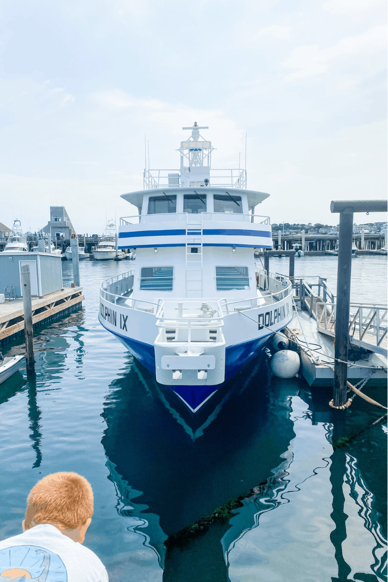 whale watch boat cape cod outside ocean