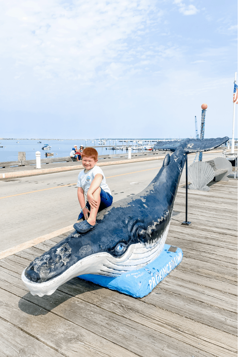 whale watch kids humpback whale provincetown cape cod vacation