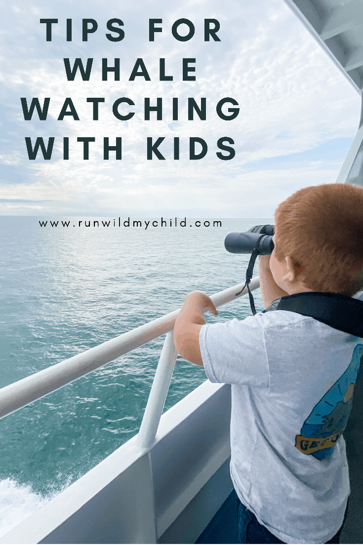 Tips for whale watching with kids