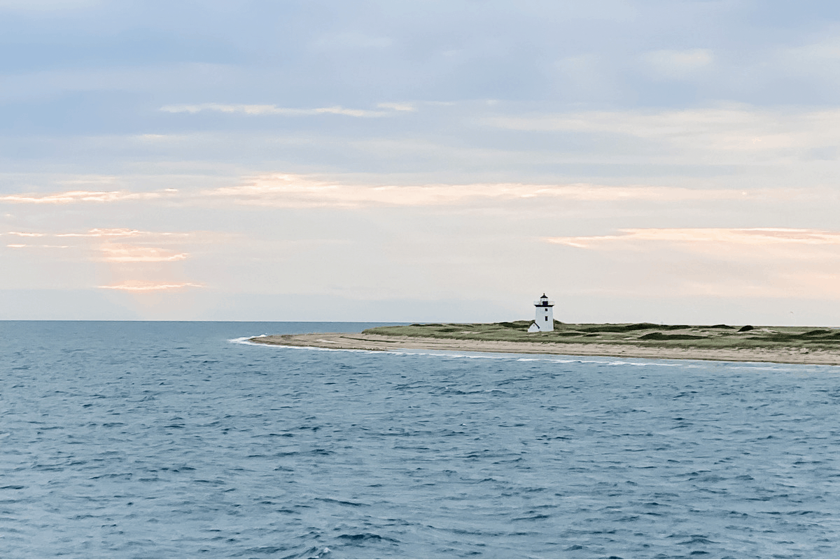 whale watch provincetown massacdusetts lighthouse kids cape cod 