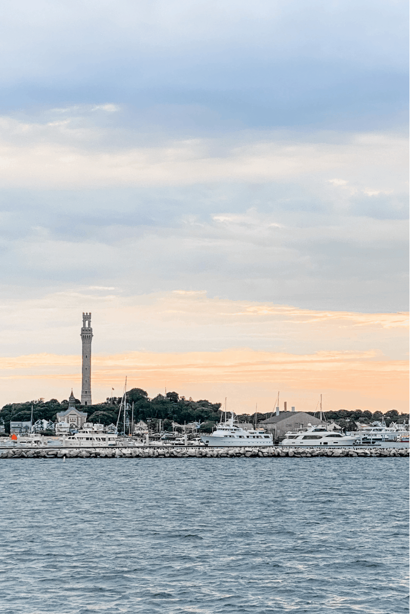 cape cod provincetown whale watch kids