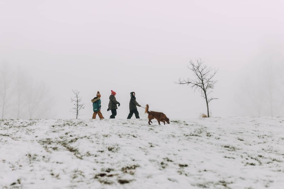 winter walk with dog