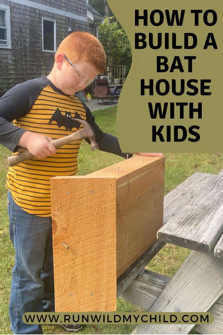 How to Build a Bat House with Kids