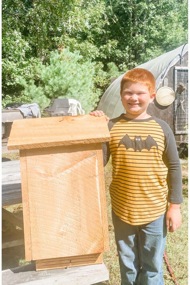 Done building the bat house!