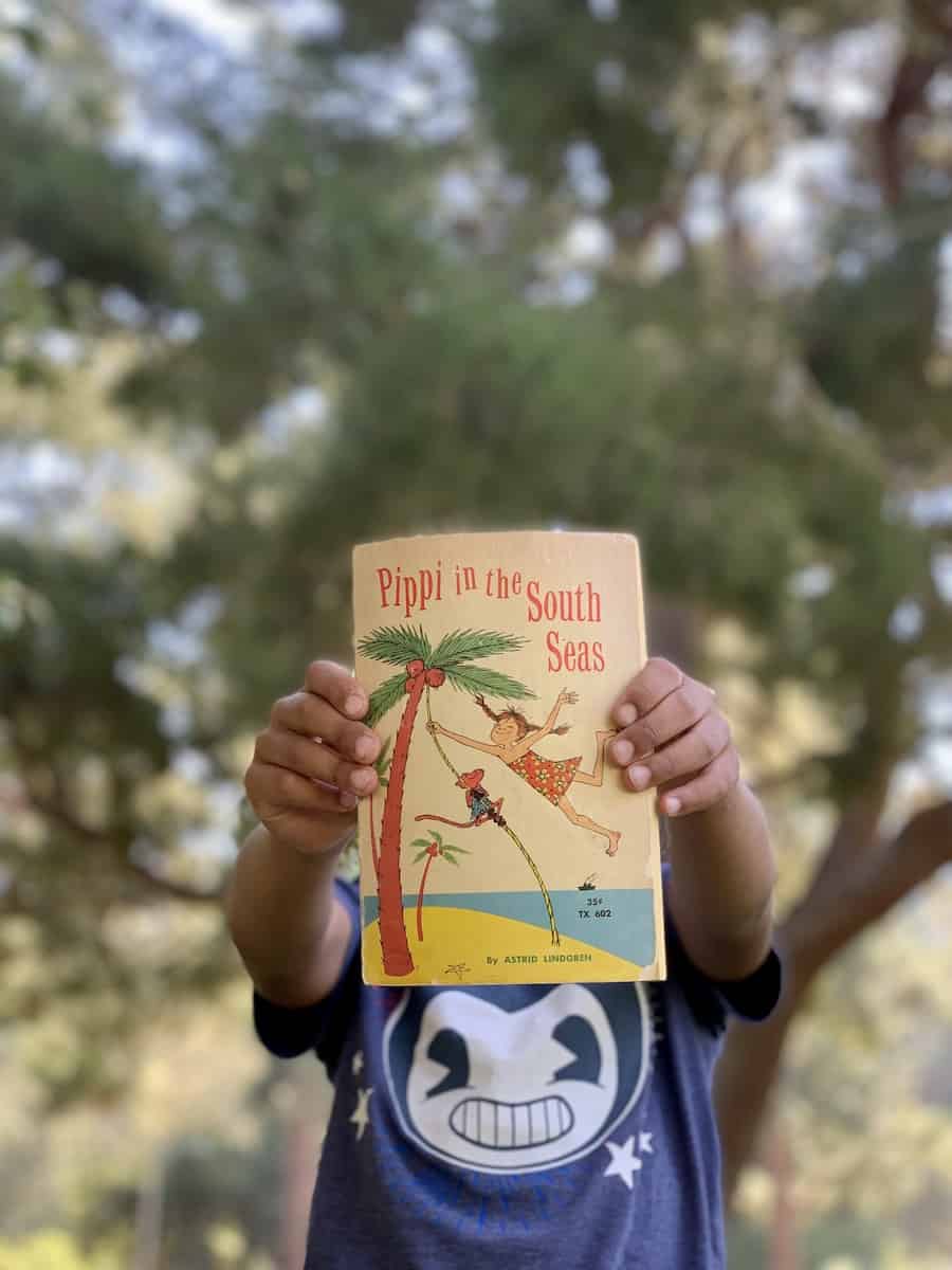 Nature-Inspired Chapter Books for Kids - Pippi Longstocking