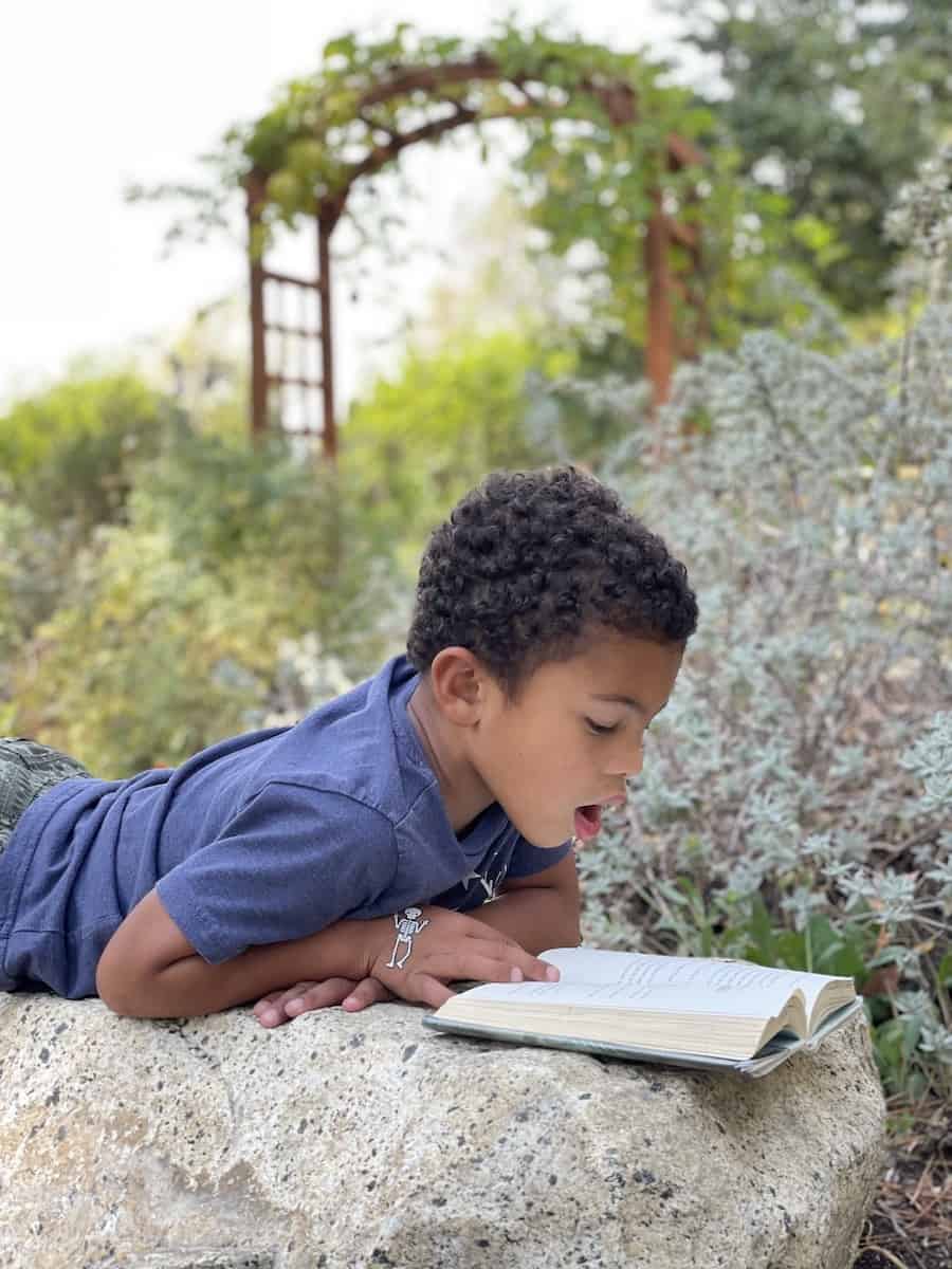 Nature Books Boy Reading Outside