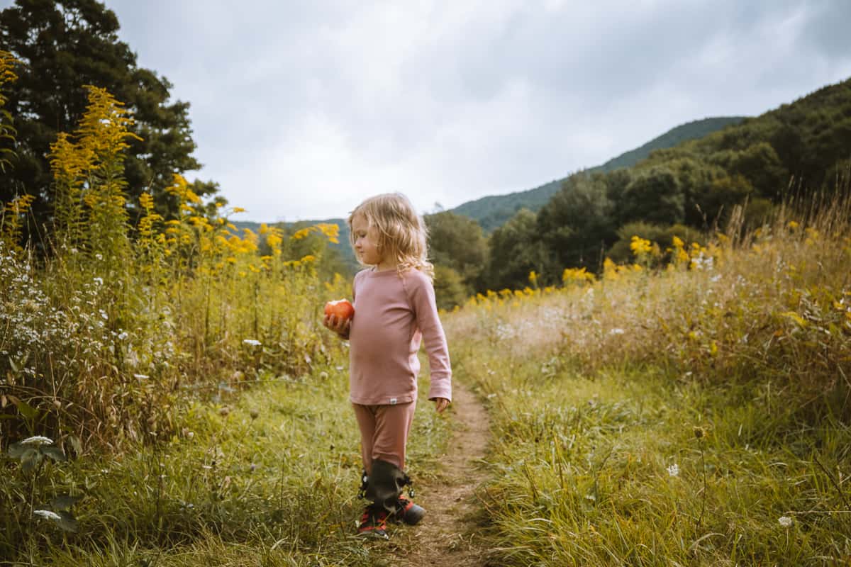 Merino Wool Child Nature Socks - Nui Organics