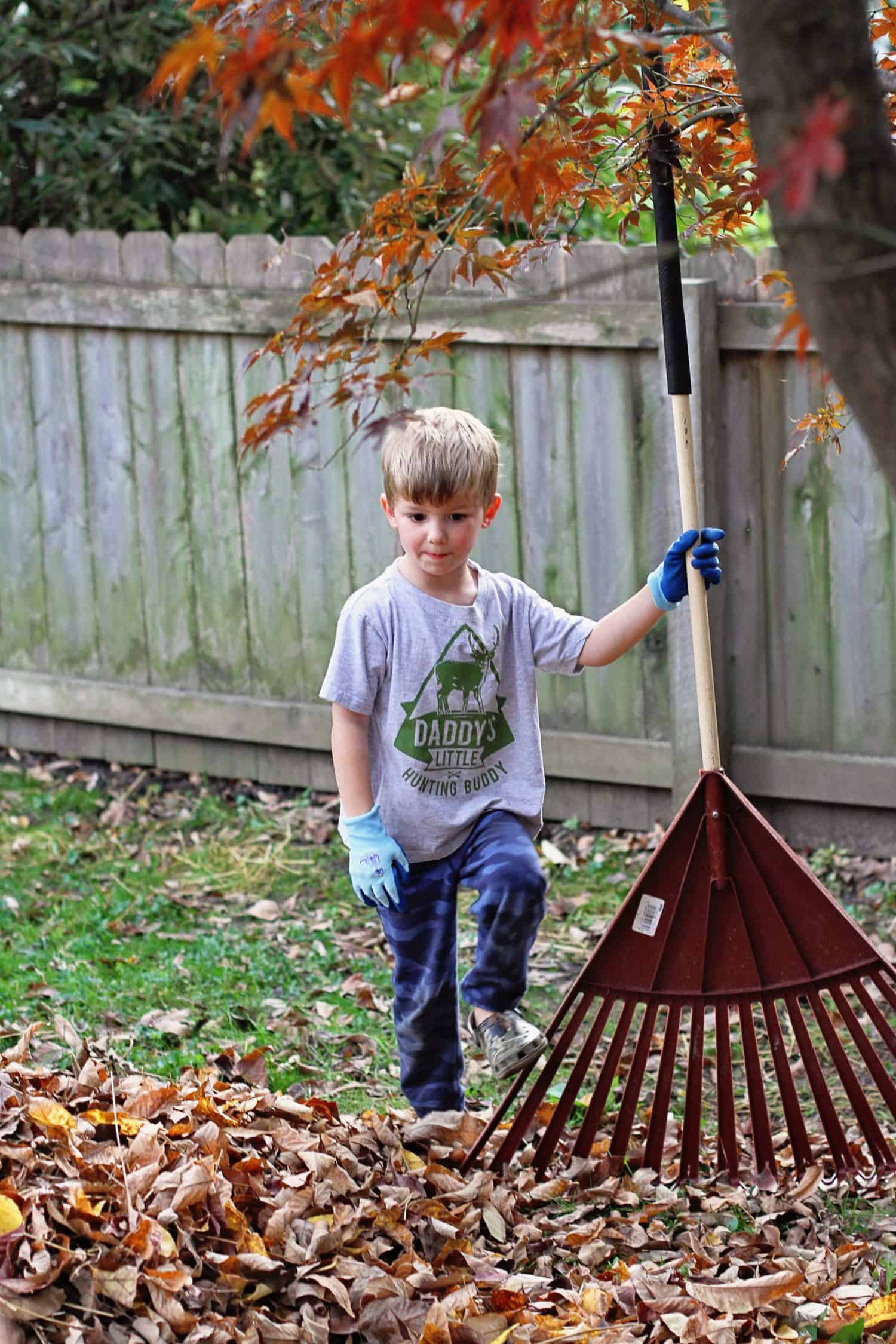 kids raking leaves
