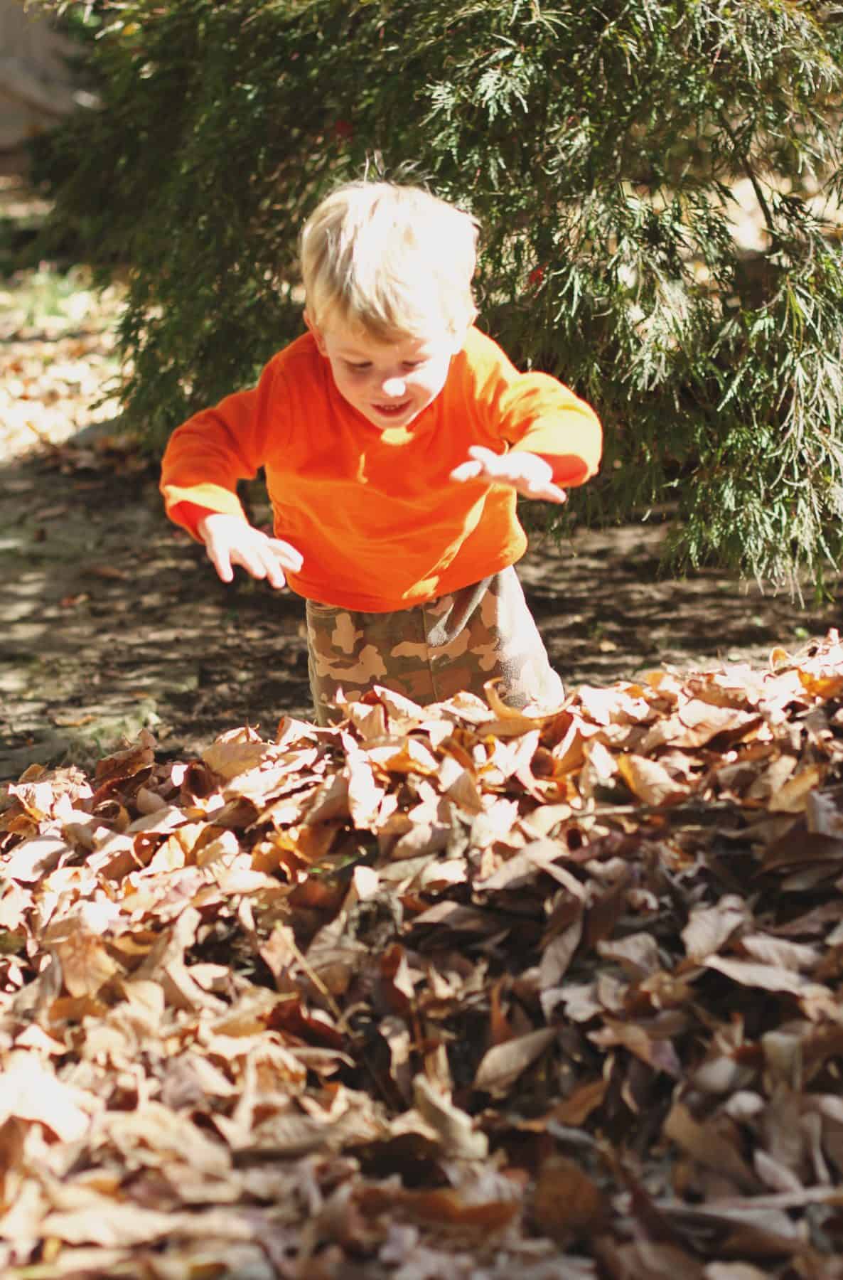 Fall Leaf Fun for Kids: Leaf Crafts, Leaf Activities, Leaf Books, and More!