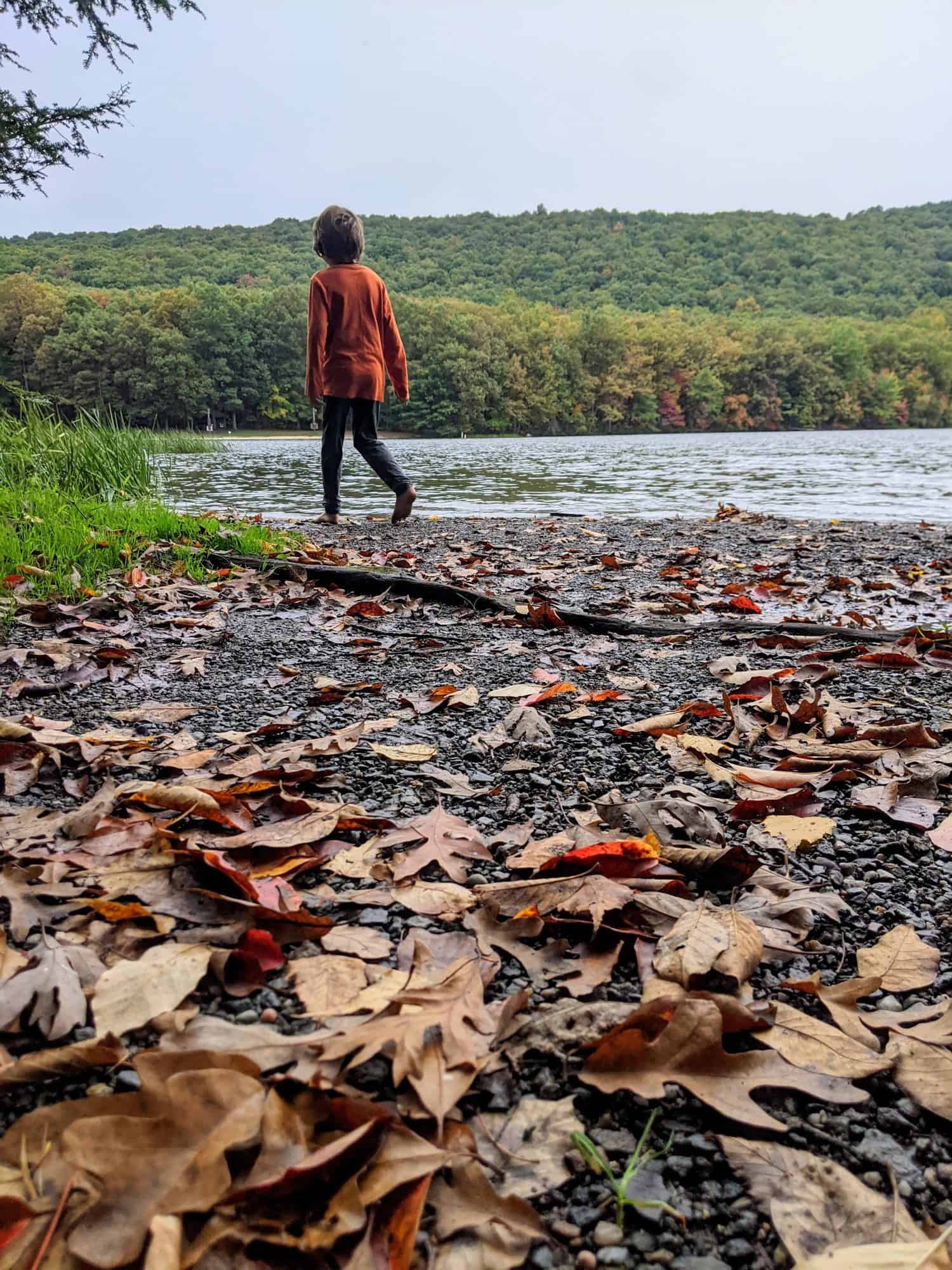 Go on a fall leaf hike with kids - fun fall leaf activities