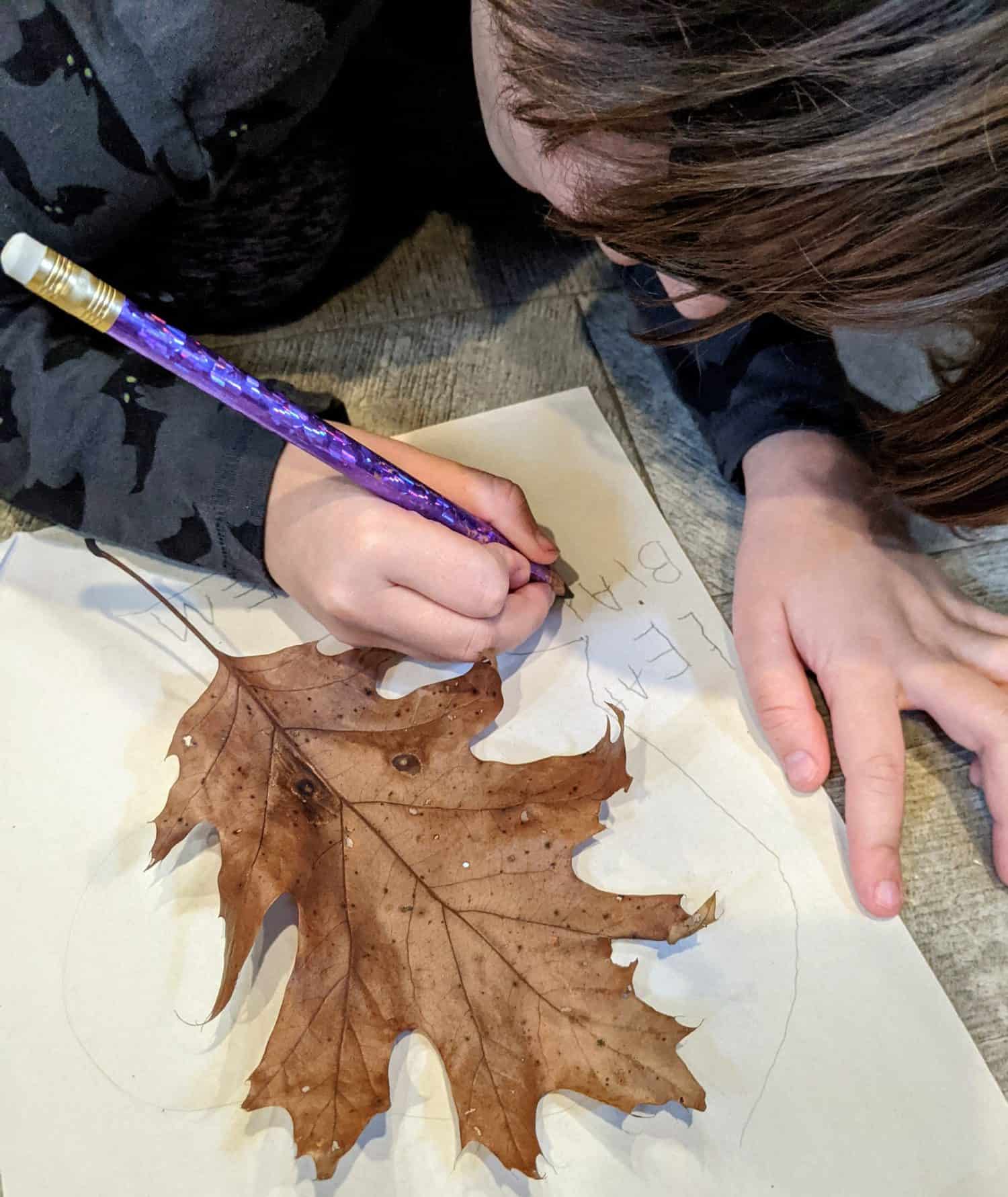 Fall leaf fun crafts and activities for kids