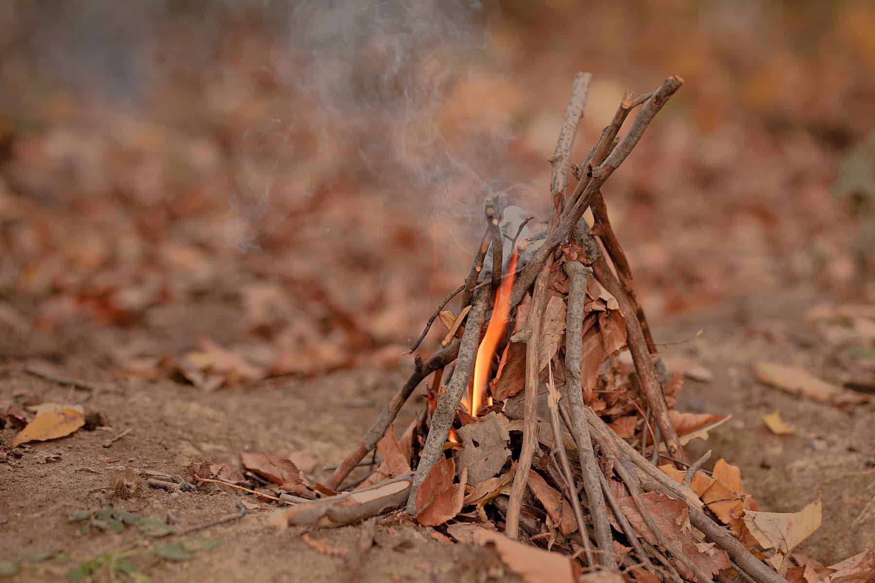 Wilderness Survival Skills