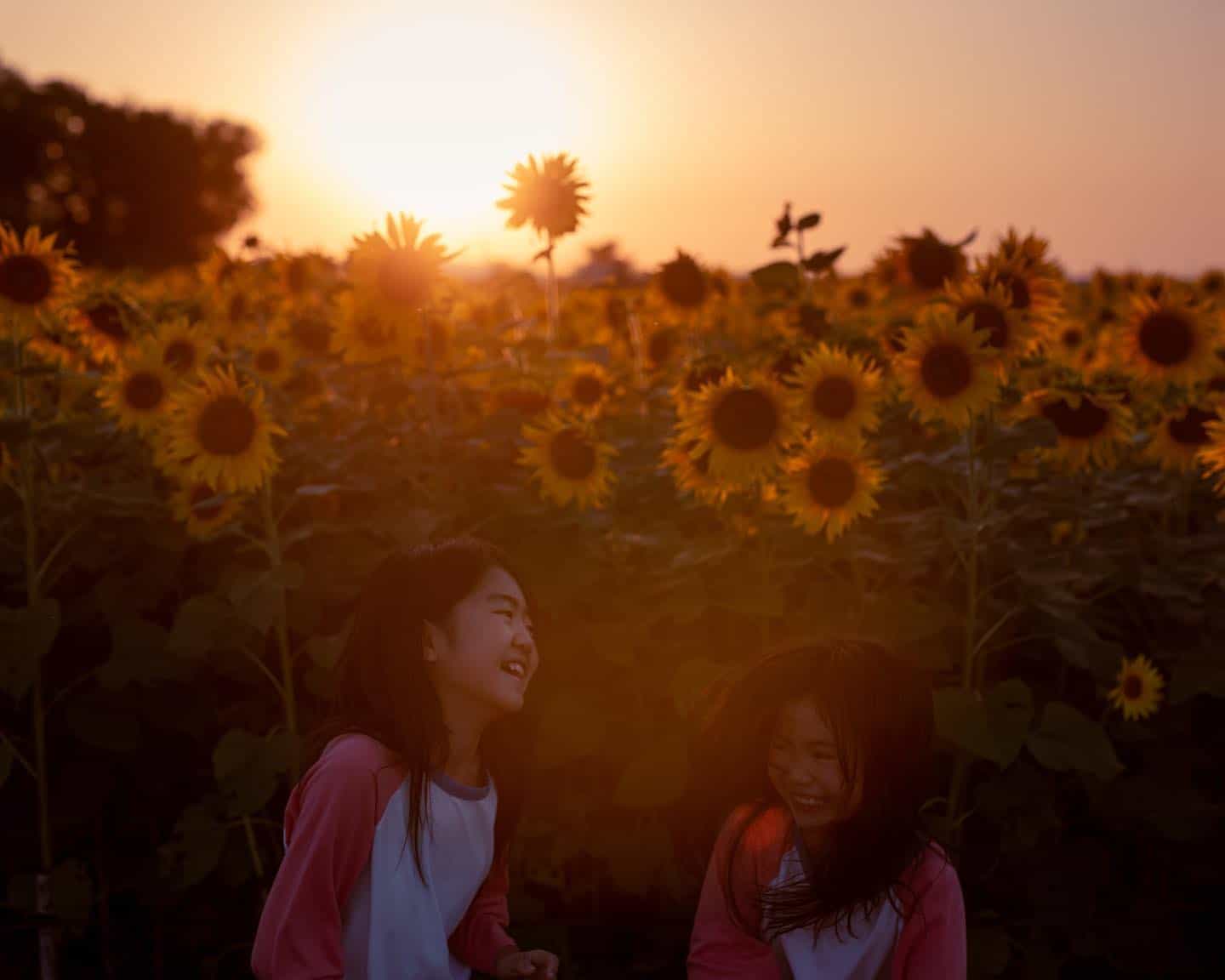 celebrate world kindness day in nature outside