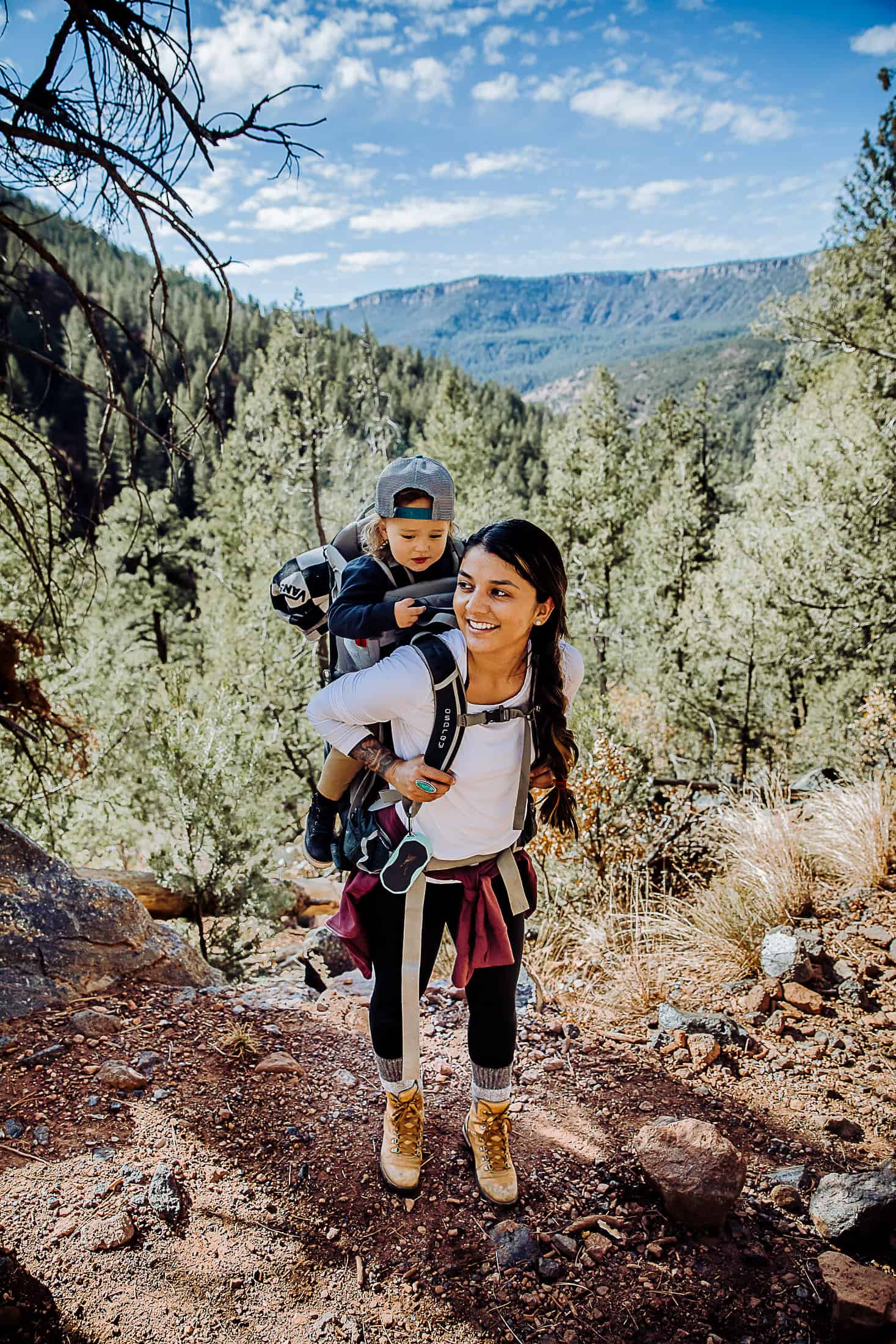 best baby carriers for hiking with kids