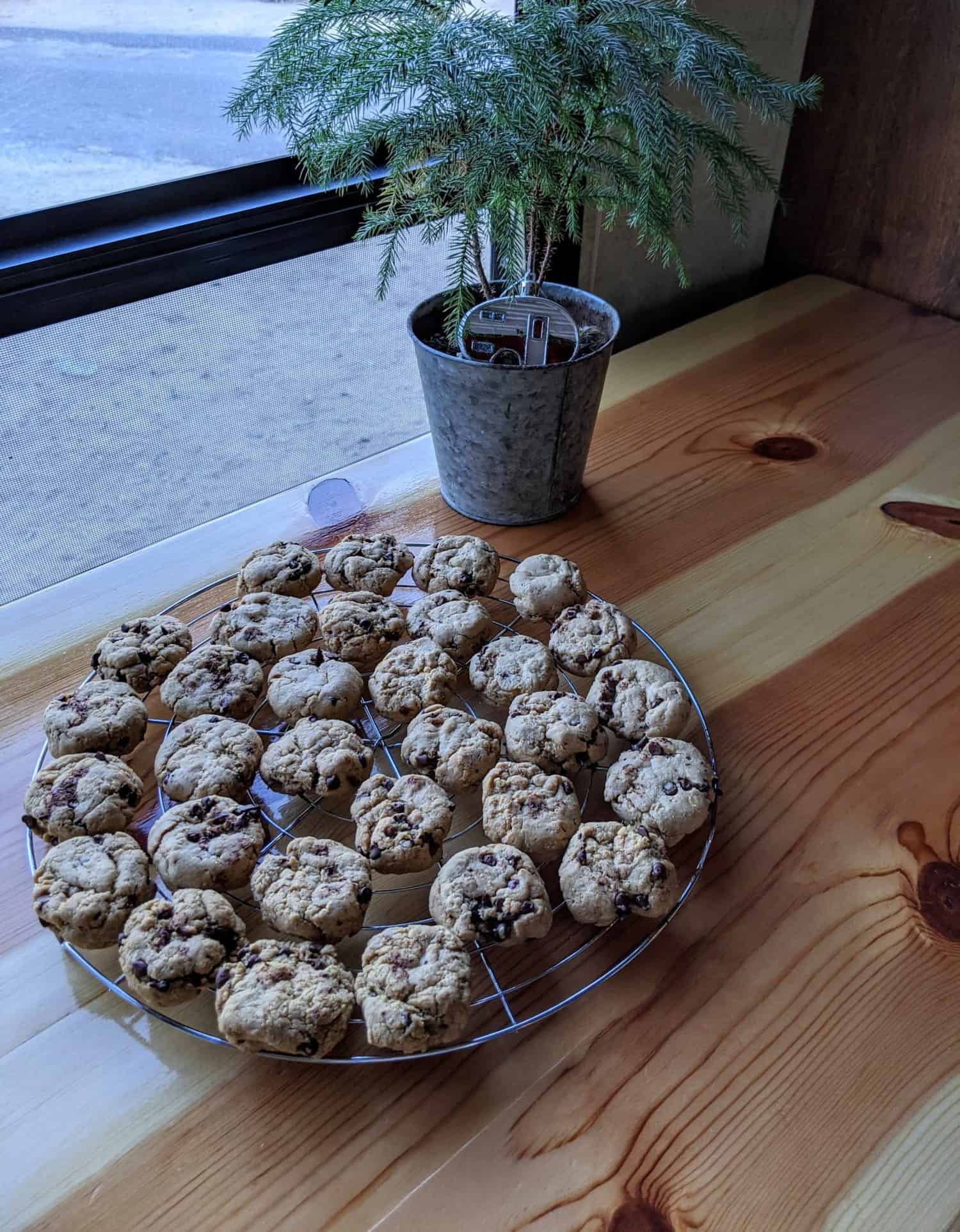 Best chocolate chip cookies to make with kids