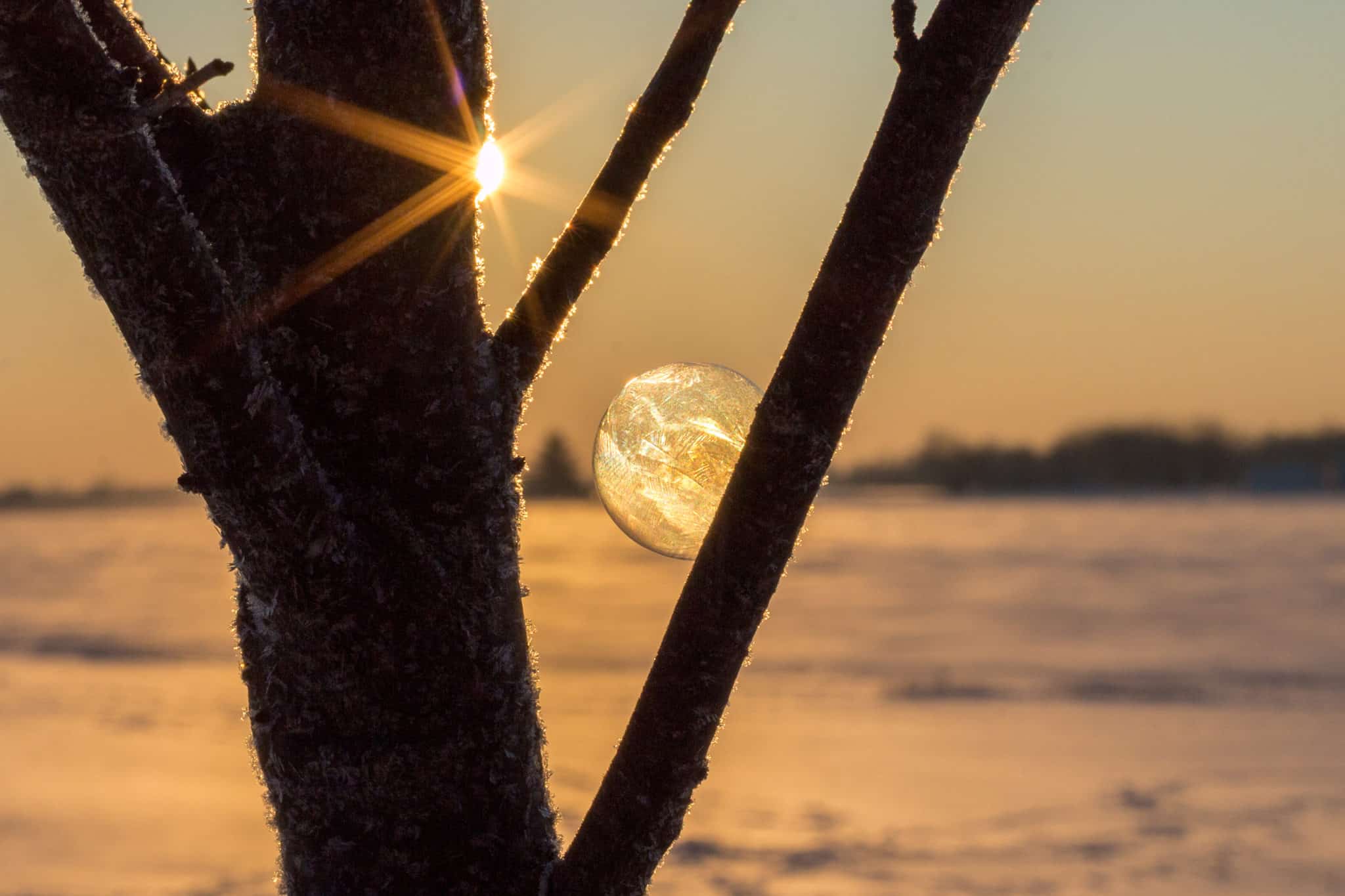 Winter Science Experiment For Kids: How To Make Frozen Bubbles