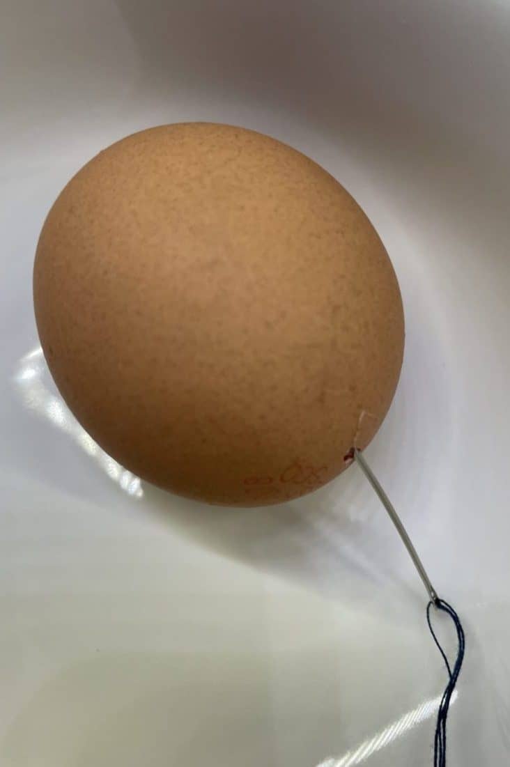 Piercing hole in egg for blowing