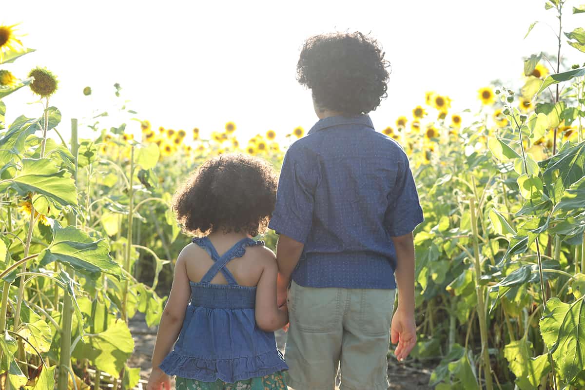 Two children walking into a sunflower field