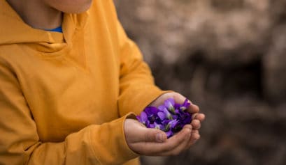 Boy in yellow holding violets