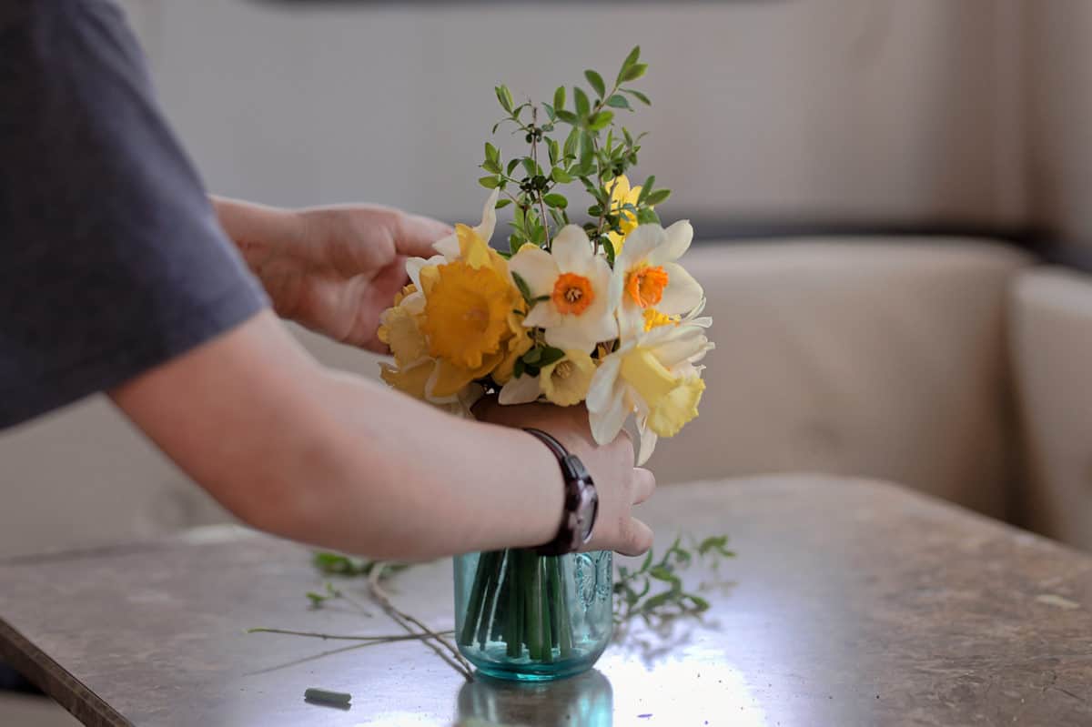 daffodil arrangement
