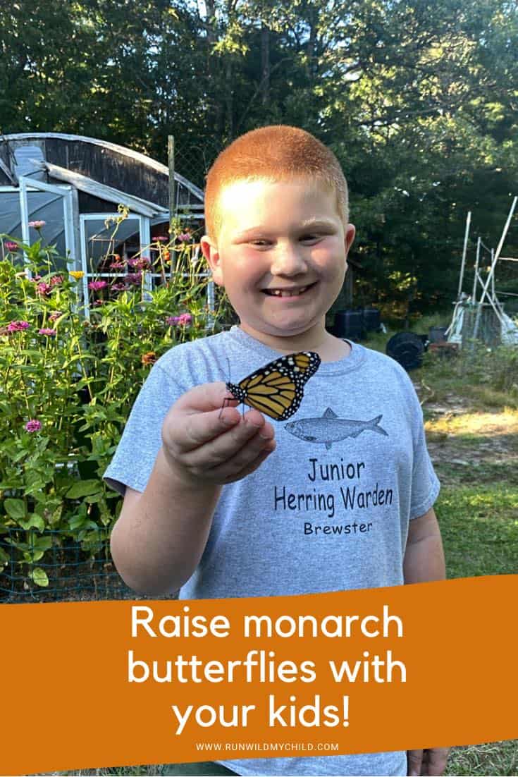 Raising Monarch Butterflies with Children • RUN WILD MY CHILD