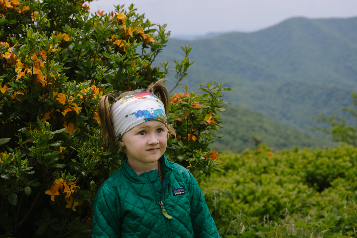 Wildflowers Hiking Kids Roan Mountain