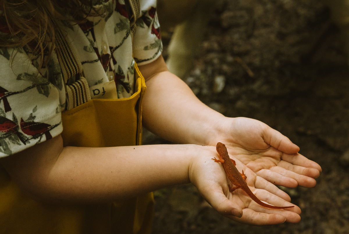 Roan Mountain Kids Salamander