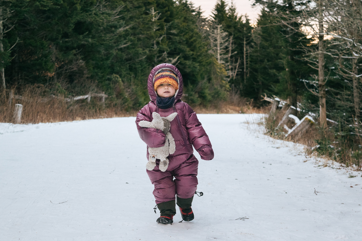 Toddlers Hiking Roan Mountain