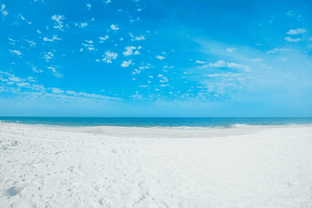White sand beach on the shoreline of the Gulf of Mexico in Florida's Gulf County