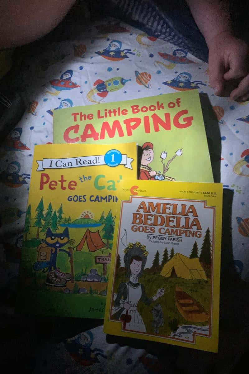 best camping themed books for kids and toddlers